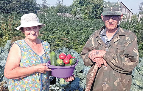Утро супружеской пары Юдиных начинается с уборки урожая